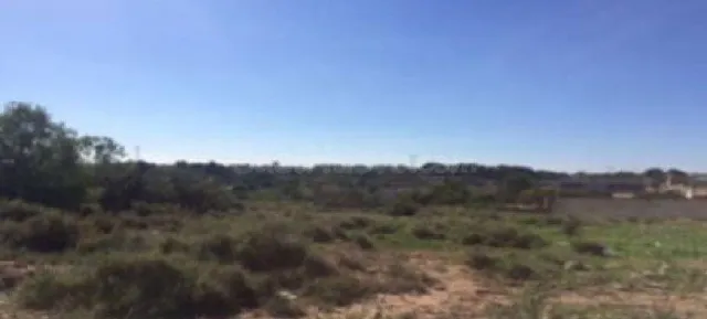 Terreno Rústico 4469m² en venta - Betera Pueblo - foto 3