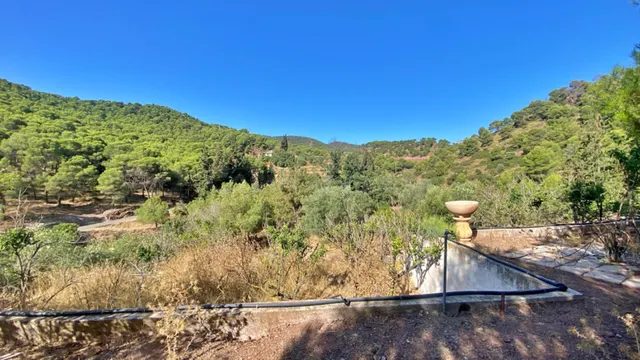 ESPECTACULAR FINCA DE 32 HECTAREAS IDEAL PARA DESCONECTAR O INVERSION PARA COMPLEJO RURAL — 32