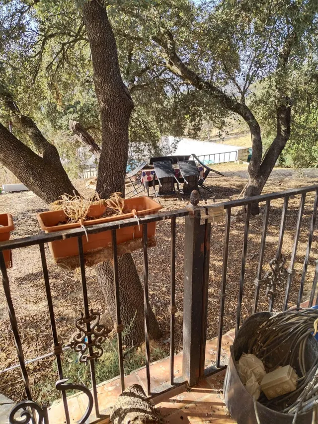 Finca Rústica en Espiel, Córdoba - foto 2
