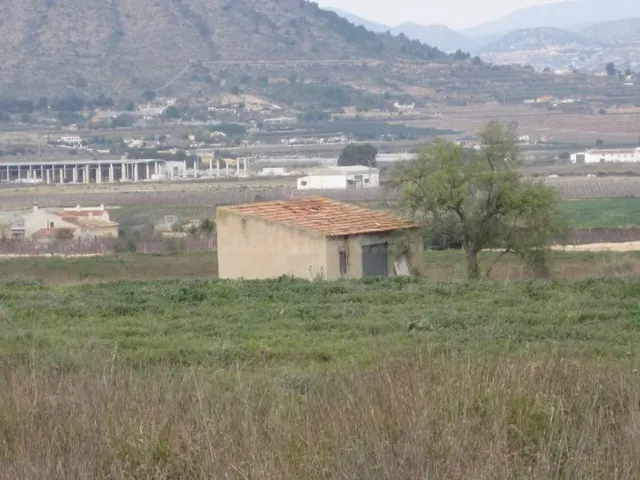 SE VENDE TERRENO EN ASPE - foto 3