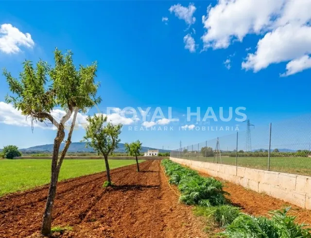 Finca rústica en venta en Calle de sa Coma - foto 3