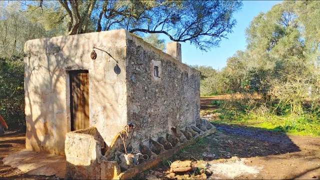 Enorme terreno boscoso con proyecto de un chalet y piscina en Felanitx, Mallorca — 11