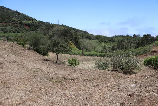 Terreno Agrario en Venta â Zona de Erjos (municipio de Los Silos / El Tanque) — 13