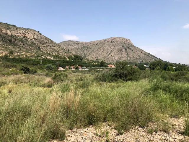 TERRENO EN ASPE — 3