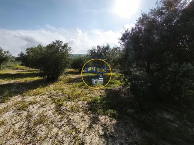 ¡¡¡OPORTUNIDAD!!! ENCANTADORA CASA DE CAMPO EN EXCLUSIVA EN ONTINYENT CON LUZ Y AGUA — 40