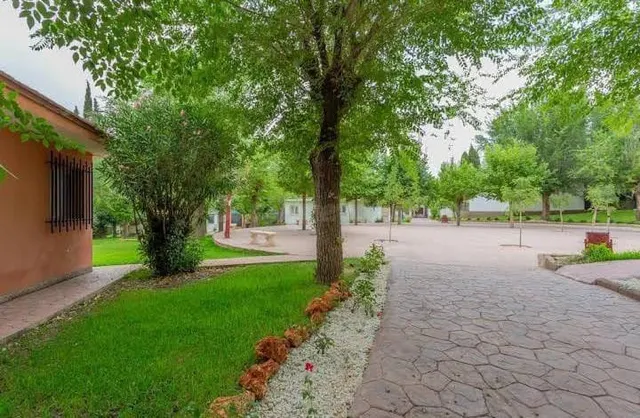 *SE ALQUILA CASA EN PADUL* - foto 3