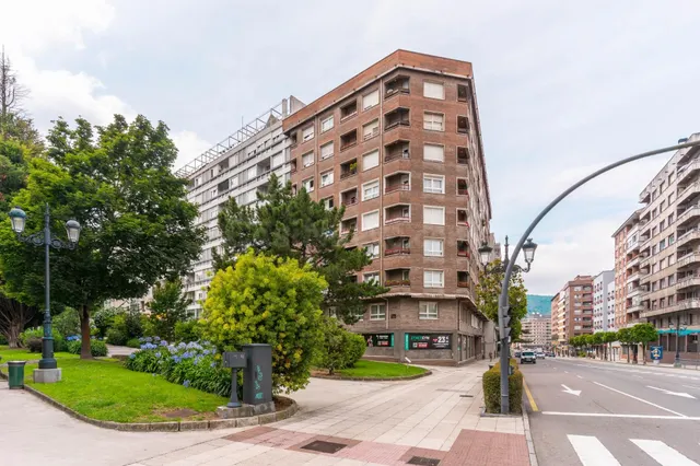 Piso en Hermanos Menendez Pidal