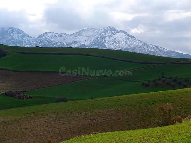 Impresionante finca edificable cerca de Málaga