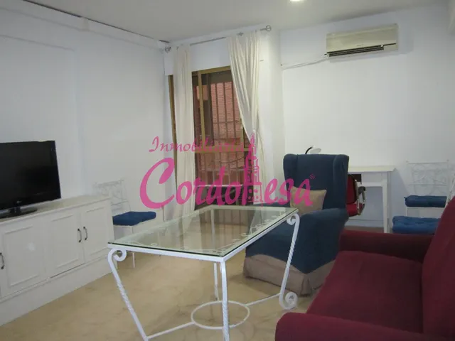 MAGNÍFICO APARTAMENTO JUNTO AL CORTE INGLÉS — 2
