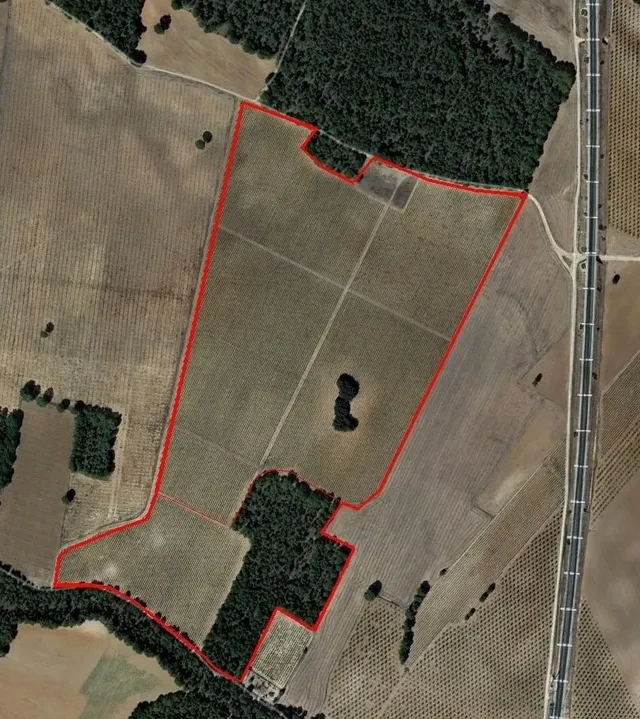 2 terrenos rústicos de uso agrario con un total de 324.946 m2 (32,49 Hectáreas) actualmente viñedos — 6