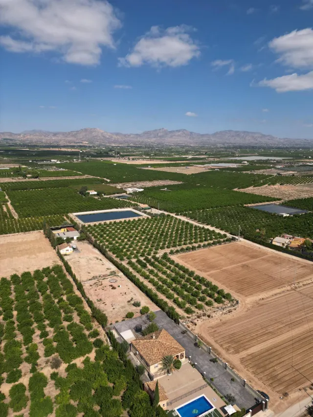 Oportunidad Inversión: Parcelas Rurales en Orihuela — 11