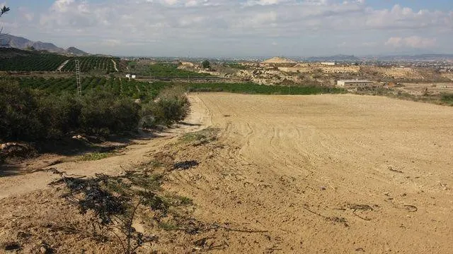 TERRENO RUSTICO EN ORIHUELA TOTALMENTE VALLADO CON NAVE - foto 5
