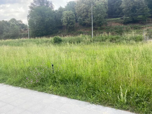TERRENO EN VENDA - foto 5
