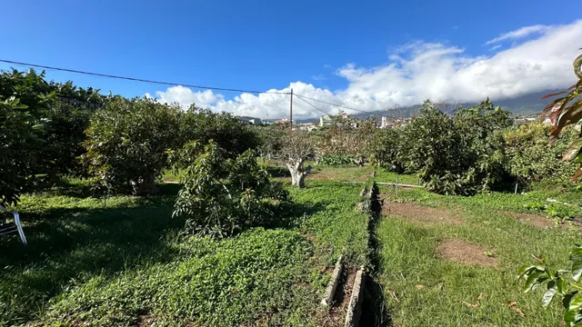 OPORTUNIDAD ÚNICA: GRAN FINCA DE 31.000 M2, secciones URBANA, RÚSTICA, ASENTAMIENTO RURAL Y AGRÍCOLA — 31
