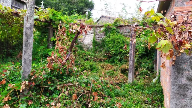 SE VENDE CASA DE PIEDRA PARA REFORMAR EN BUGALLIDO — 21