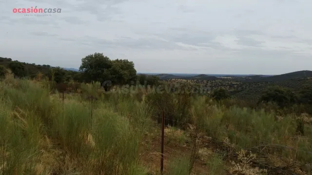 VENTA DE FINCA CINEGETICA