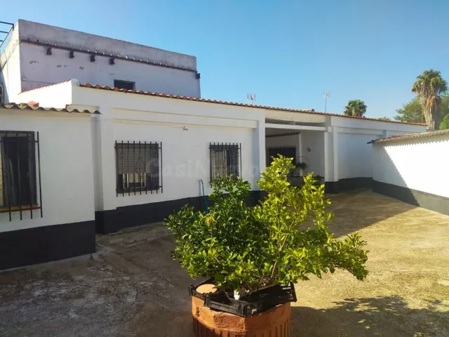 LOS MOCHOS - CASA CON NEGOCIO PARA ALIMENTACION U HOSTELERIA - foto 2
