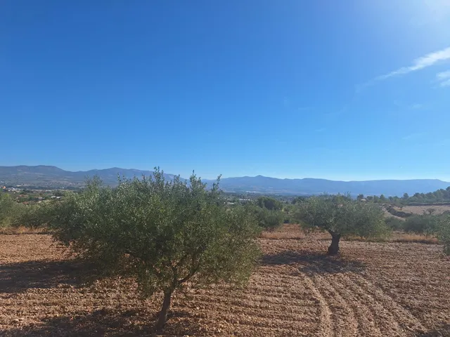 Terreno agrícola con olivos, almendros y vistas al Castillo de Castalla — 17.000 € — 14