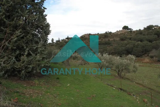 SE VENDE FINCA RUSTICA ZONA DE LA MONTAÑA - foto 3
