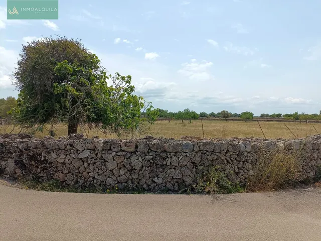 Finca edificable con proyecto — 5
