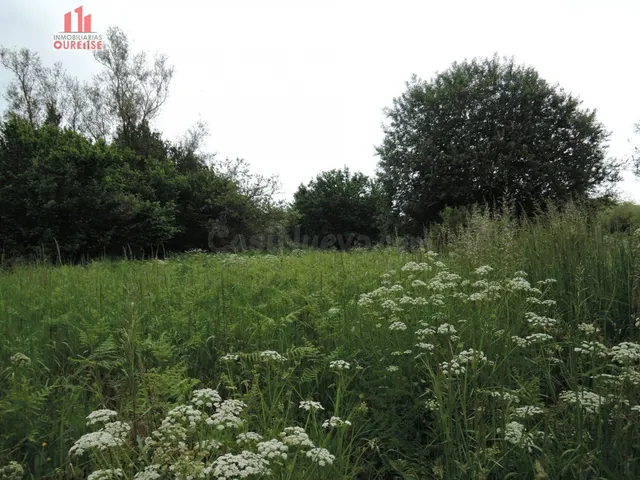 FINCA URBANIZABLE PRÓXIMA A BÓVEDA — 5