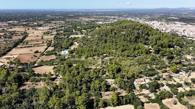 Terreno rústico de 10.000m2 en son quetlles, Felanitx — 8