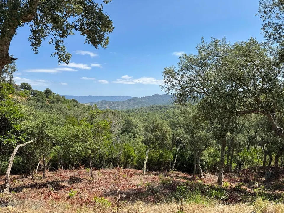 Terreno urbanizable 241m² en venta - Urbanizacion font bona
