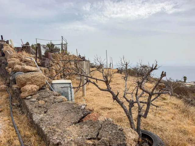Dos casas independientes en una misma finca en La Medida- Güimar — 28
