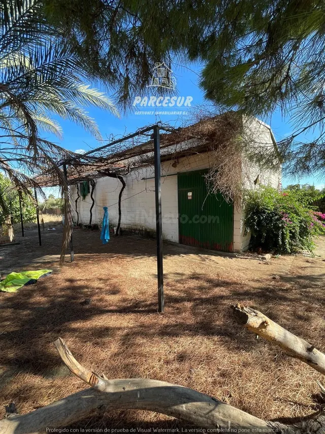 PARCELA DE TERRENO DE 3.000 M2 CON POZO Y LUZ DE ENDESA