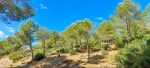 Exclusiva parcela con vistas abiertas al mar en Canyamel, co - foto 3