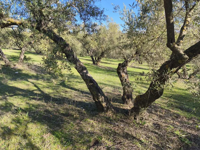 Terreno rural en venta - Sierra de huetor y la alfaguara — 3