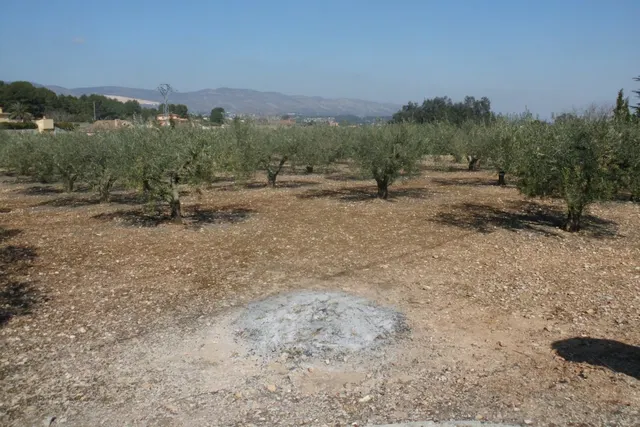 Terreno en la Ca Pallús - Ontinyent — 6