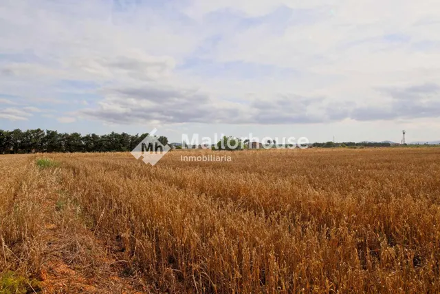 Terreno urbanizable en venta - Son serra - foto 3