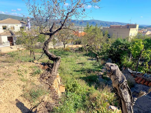 CASA CON TERRENO AMPLIO EN LA FONT DE LA FIGUERA — 28