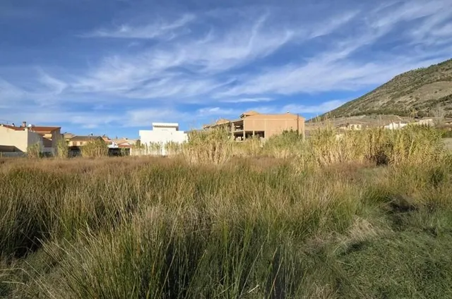 Gran parcela en Padul — 12