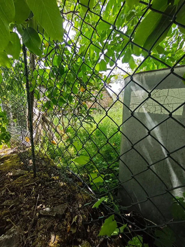 venta casa con terreno en el Acebo - foto 4