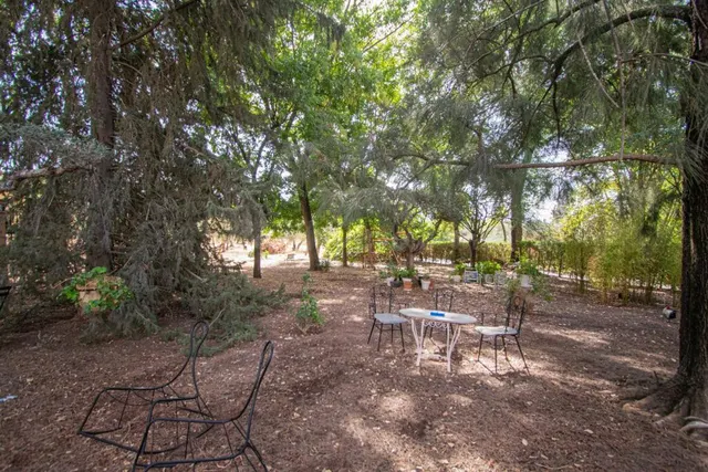 Espectacular finca en carretera mairena - almensilla !!! — 57