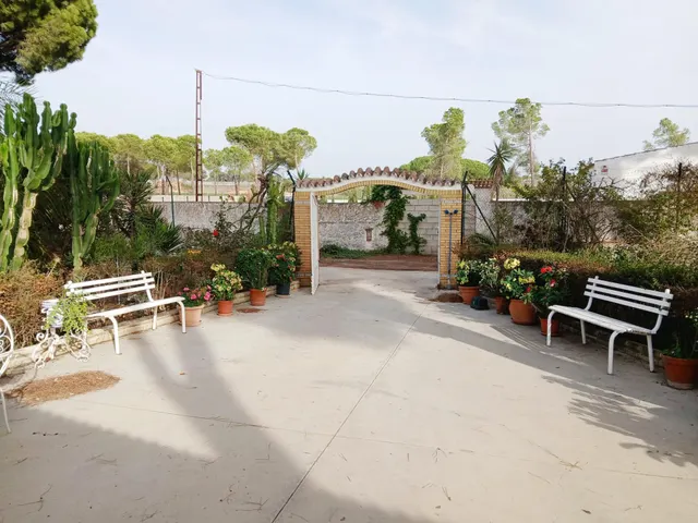FINCA CON VIVIENDA EN BONARES (HUELVA) — 11