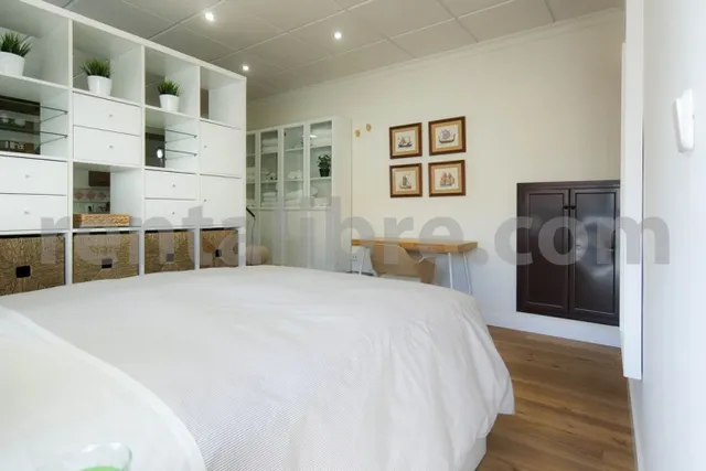 Loft 1 habitación 44m² en alquiler - Centro — 13