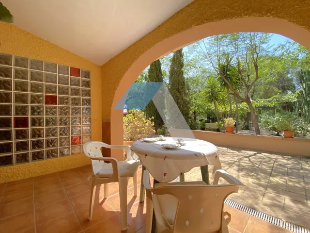 Chalet independiente con piscina en gran parcela rústica, rodeado de pinos y olivos – A menos de 1 km del Polideportivo Municipal de San Vicente del Raspeig — 48