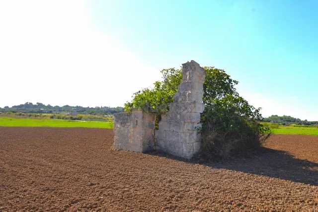 Finca rústica con vistas a la Serra de Tramuntana en Muro - foto 3