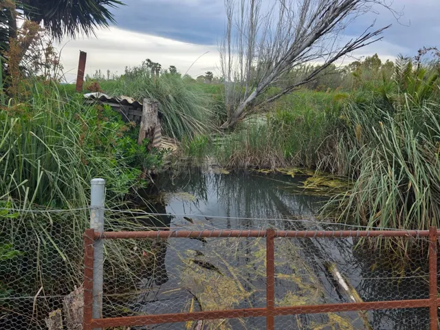 ✨ Finca Única en el Delta de l’Ebre: ¡Con "Ullal" Natural Pr - foto 2