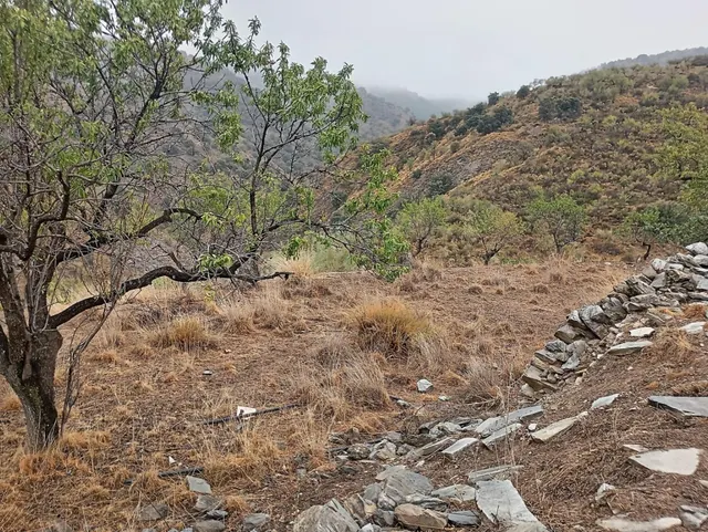 VENTA EN SIERRO ( ALMERÍA ) DE TERRENO PARA CAZA. — 12