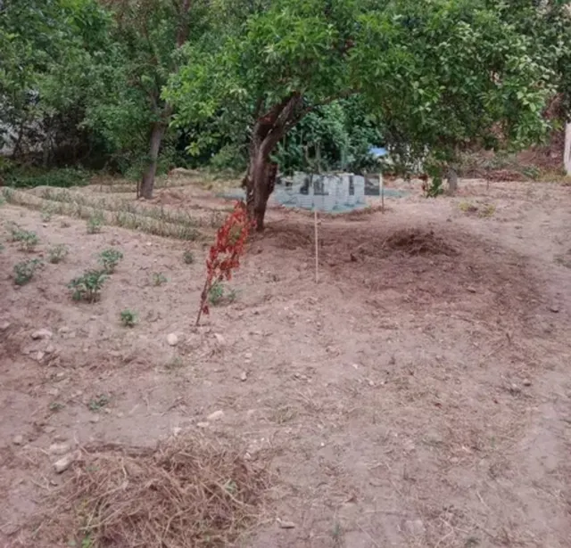 Finca rústica 252m² en venta - Northern spain - foto 2