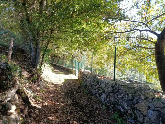 Terreno urbano en venta - Trubia — 45