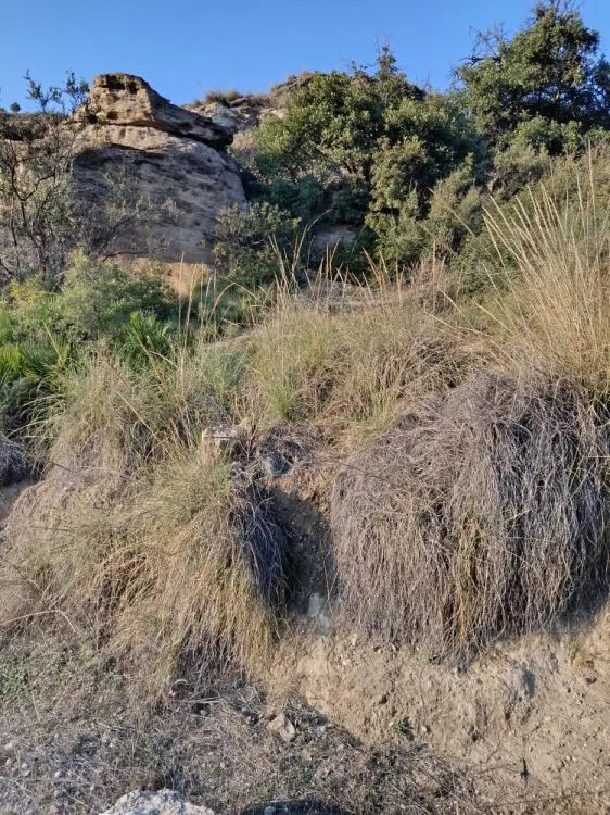Parcela en venta - Alora pueblo — 12