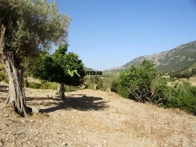 Fantástica finca para restaurar con vistas increíbles — 7