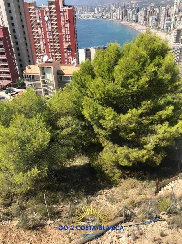Terreno urbano en venta - Rincon de Loix - foto 4
