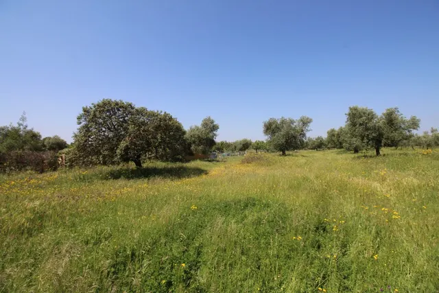 Terreno rural en venta - Alrededores — 8