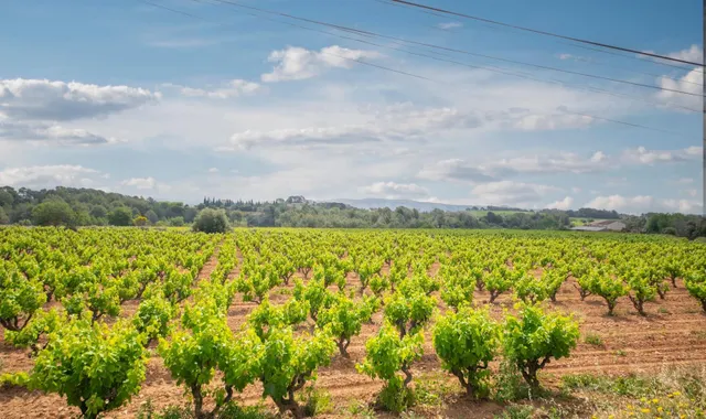 Espectacular masía del siglo XIX en la Toscana catalana - foto 5